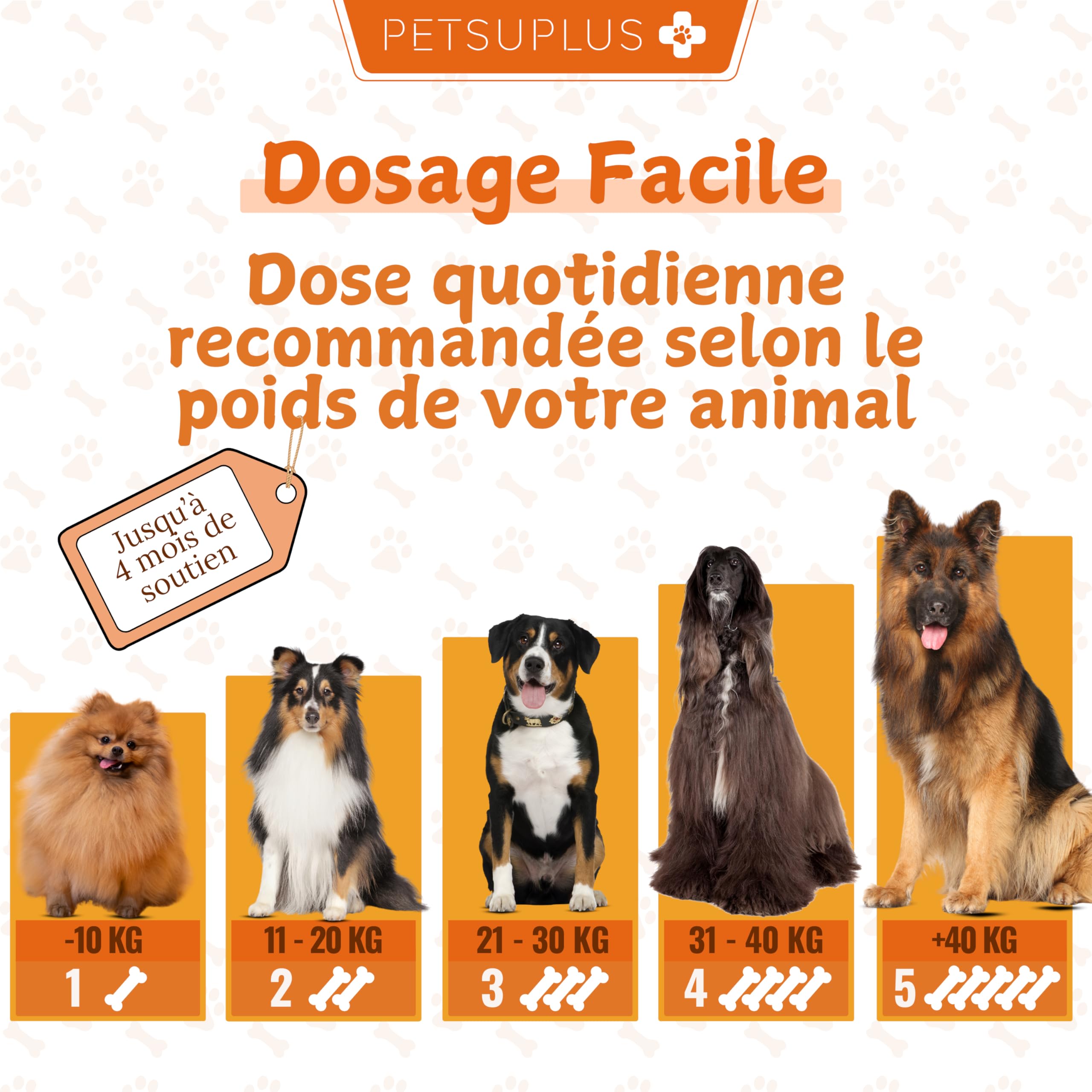 Peau et Pelage - Complement Alimentaire Chien avec Omega 3 et Huile de Saumon pour Chien. Contre Démangeaisons, Peau sèche, Irritations, Perte de Poils et l'Irritabilité - 120 Bouchées