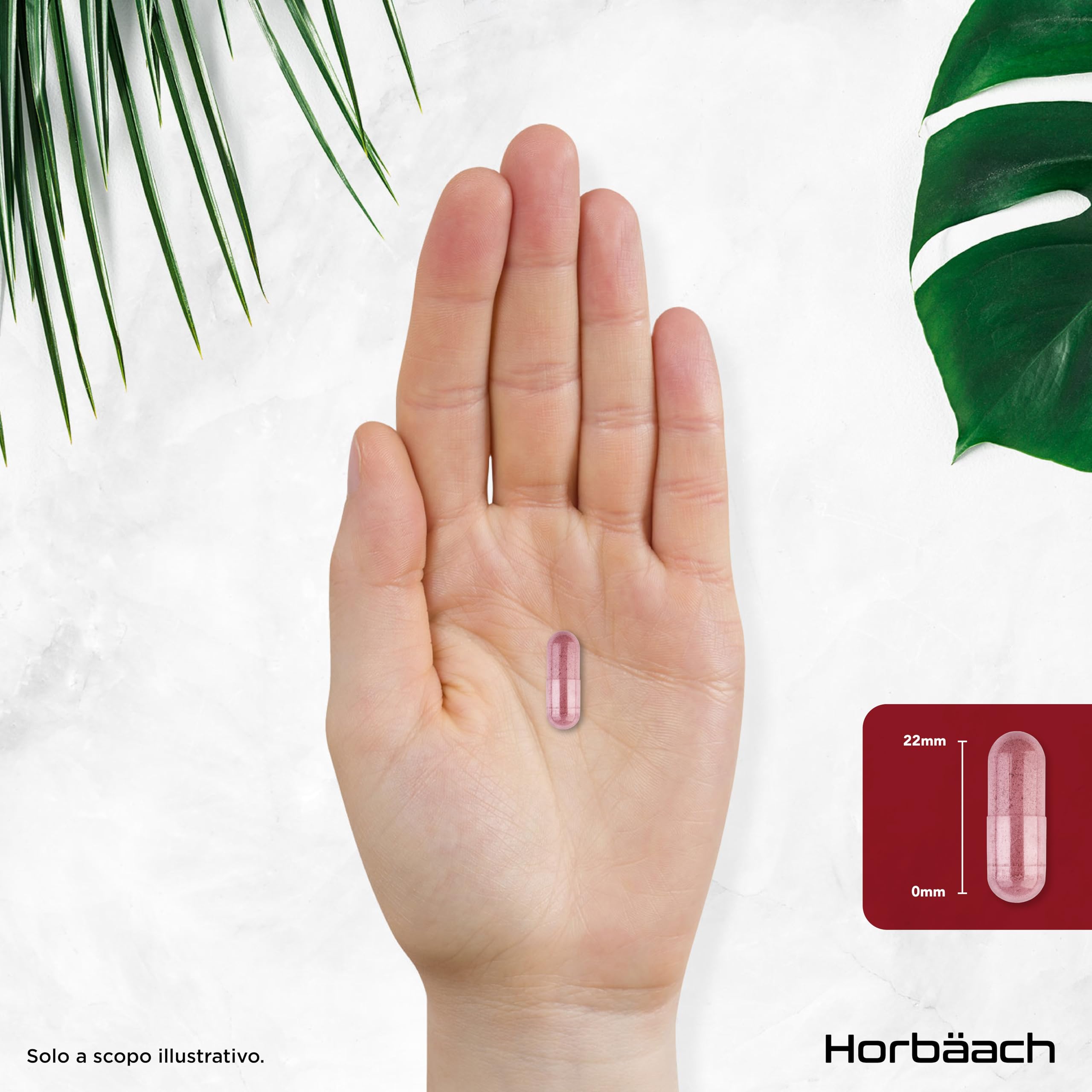 Mirtillo Rosso 50000 mg con Vitamina C | Cranberry 50:1 Extract | 180 Capsule Vegane in Polvere | Horbaach