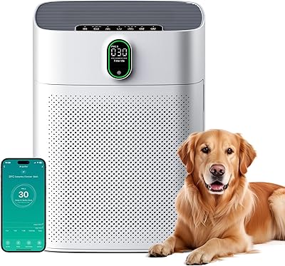 MERONTE Luftreiniger für Zuhause & Raucherräume, Allergikerfreundlich, HEPA Filter Gegen Staub Pollen, CADR 300 m³/h für 100 m², 24 dB Leise, Timer, Luftqualitäts-Feedback & Automodus, 1 Pack + 3 Modi