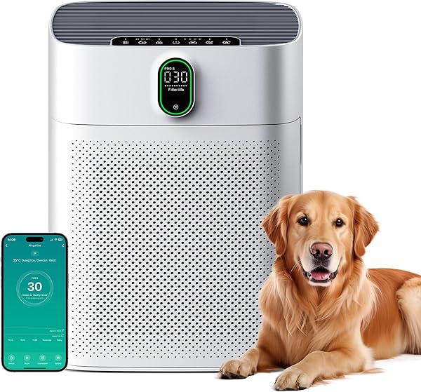 MERONTE Luftreiniger für Zuhause & Raucherräume, Allergikerfreundlich, HEPA Filter Gegen Staub Pollen, CADR 300 m³/h für 100 m², 24 dB Leise, Timer, Luftqualitäts-Feedback & Automodus, 1 Pack + 3 Modi