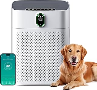 Meronte Purificador de aire para piezas ahumadas Hipoalergénico, Filtro HEPA Anti-polen Polvo, CADR 300m³/h para 100m², 24dB Silencioso, Temporizador, Retorno Calidad del Aire y Modo Automotriz