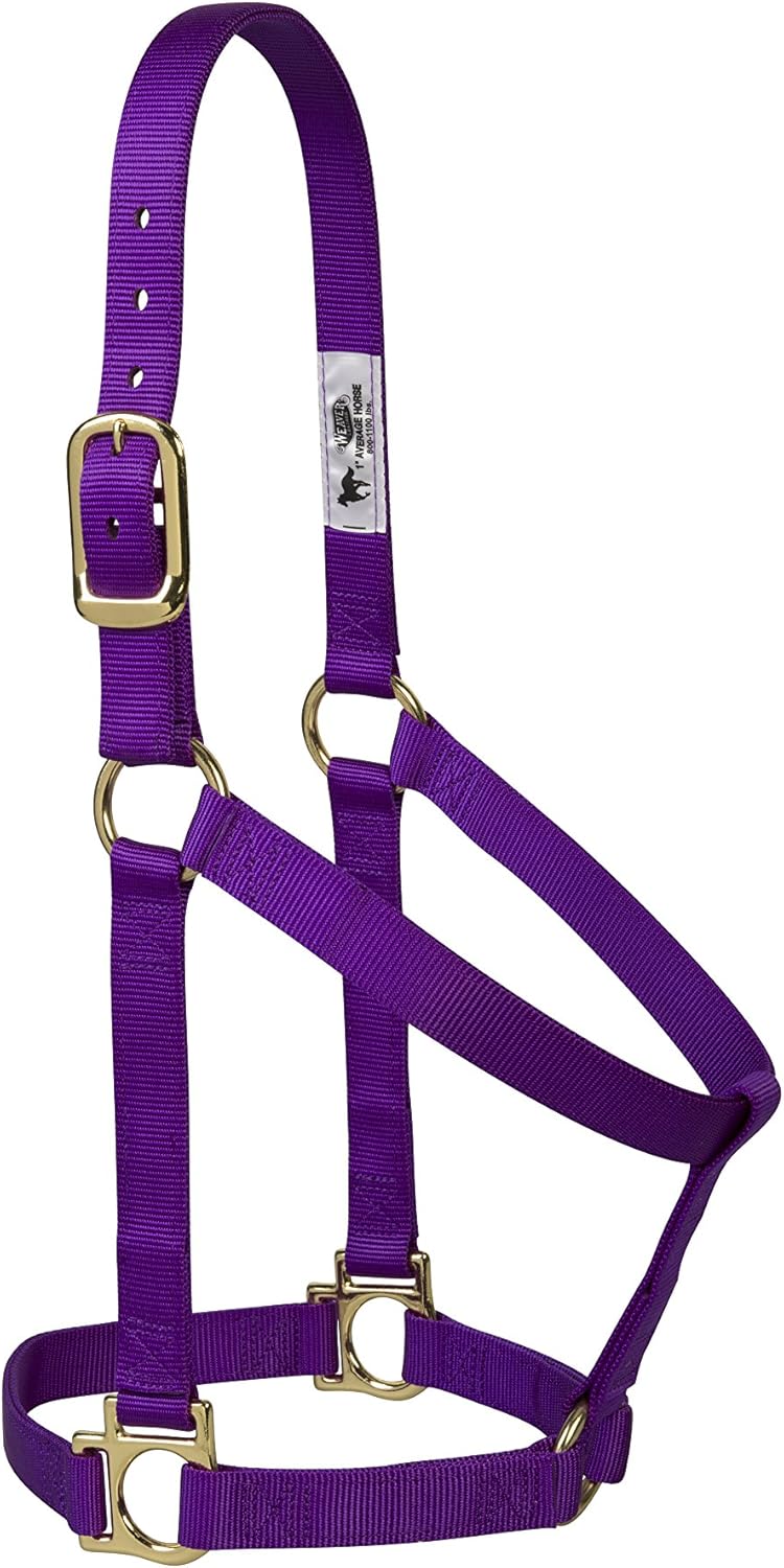 Weaver Leather Basic Non-Adjustable Nylon Horse Halter