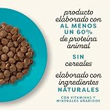 Ver la foto 4