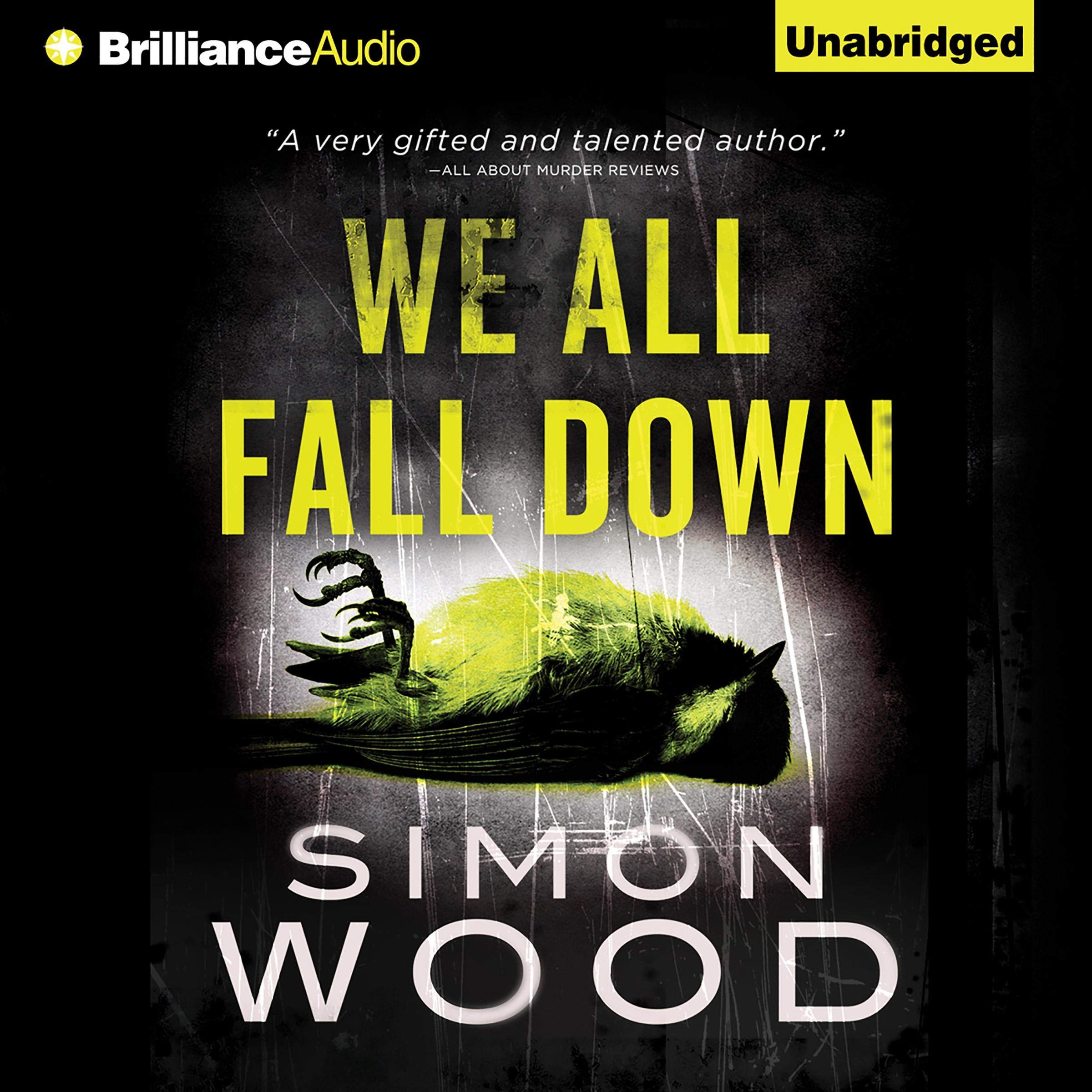 Cover art for We All Fall Down