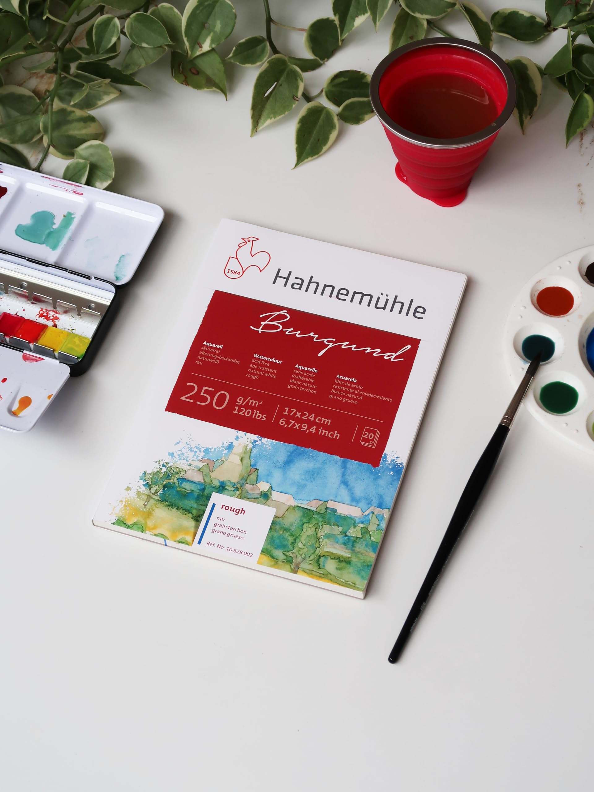 Hahnemühle Lot de 20 feuilles de papier aquarelle Bordeaux 250 g/m² 36 x 48 cm