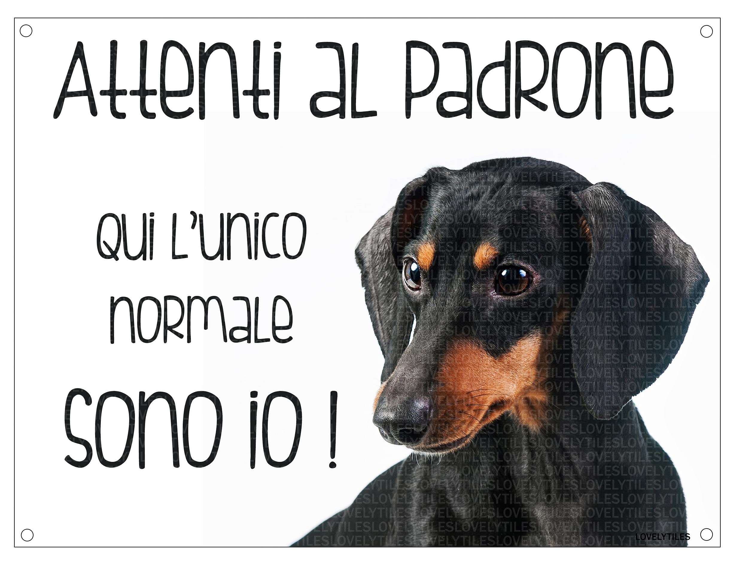 BASSOTTO Attenti al padrone qui l'unico normale sono io! CANE CARTELLO TARGA IN METALLO (15X20)