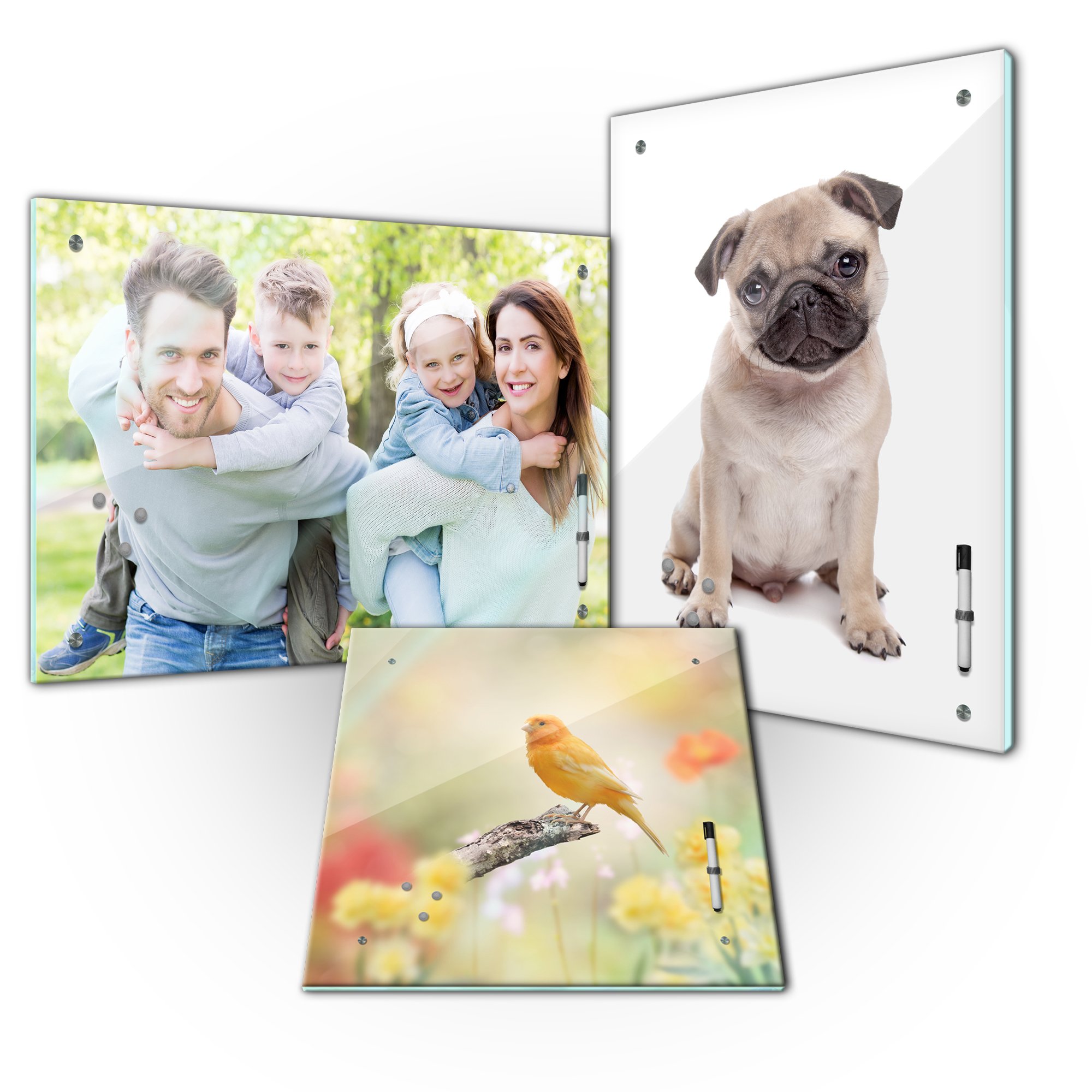 Bilderdepot24 Tableau mémo personnalisable avec motif de votre choix - 80 x 60 cm - Idée cadeau unique - Avec votre propre photo - Enfant - Famille - Vacances d'animaux de compagnie - Logo de