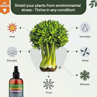 SUPERIOR Liquid Silica Boost Fertilizer and Supplement Spray for Peace Lily Plants Pre-Mixed, Ready-to-Use Liquid Silicon Plant Superfood Mist for Indoor & Outdoor Plants 8oz