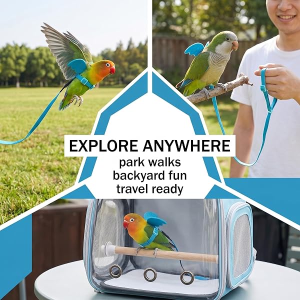 Small Animal Harnesses,One Adjustable Parrot Harness,Outdoor Training Leash/Rope,Ideal for Cockatiels and Macaws - 3