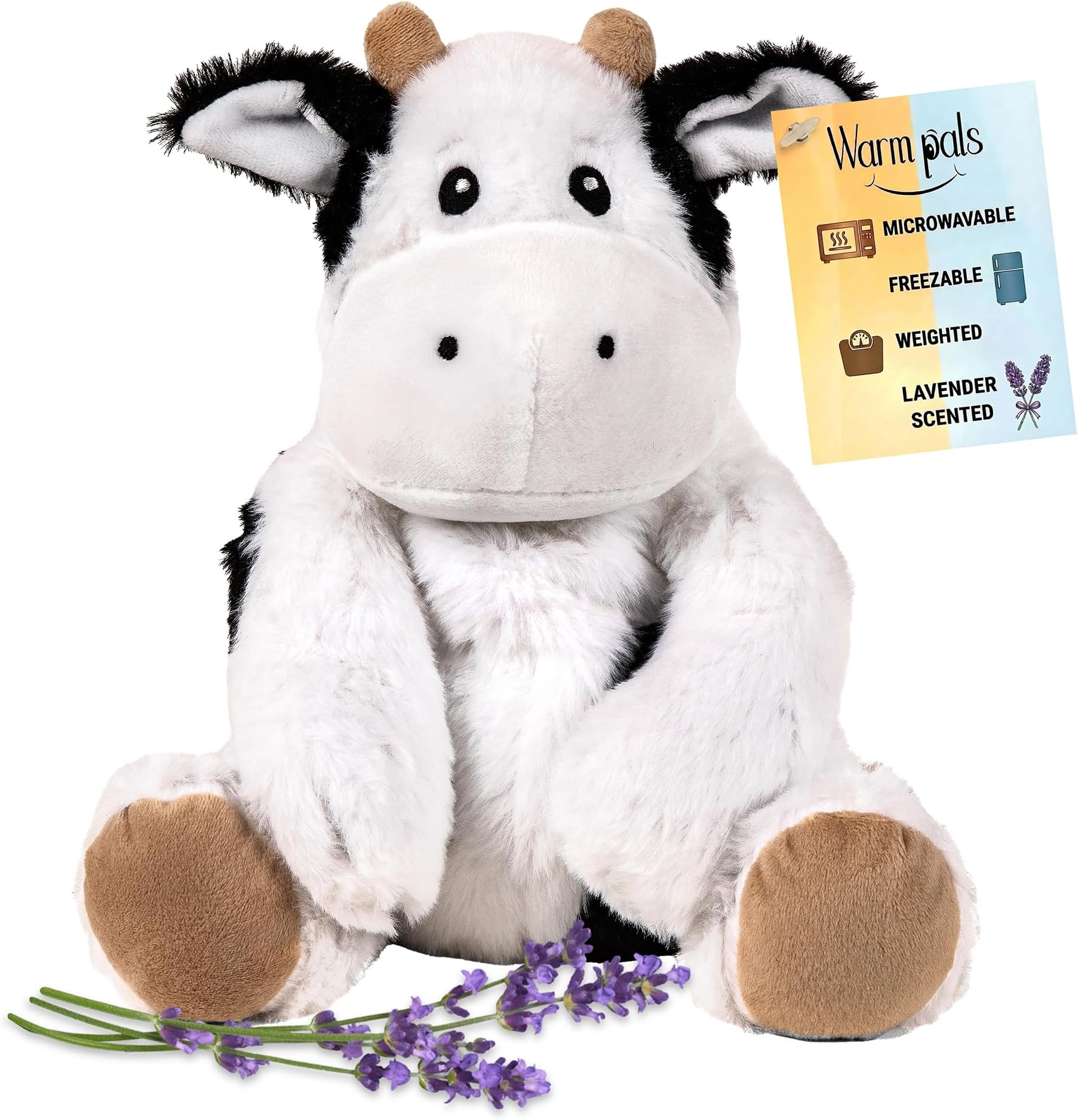 Callie Cow