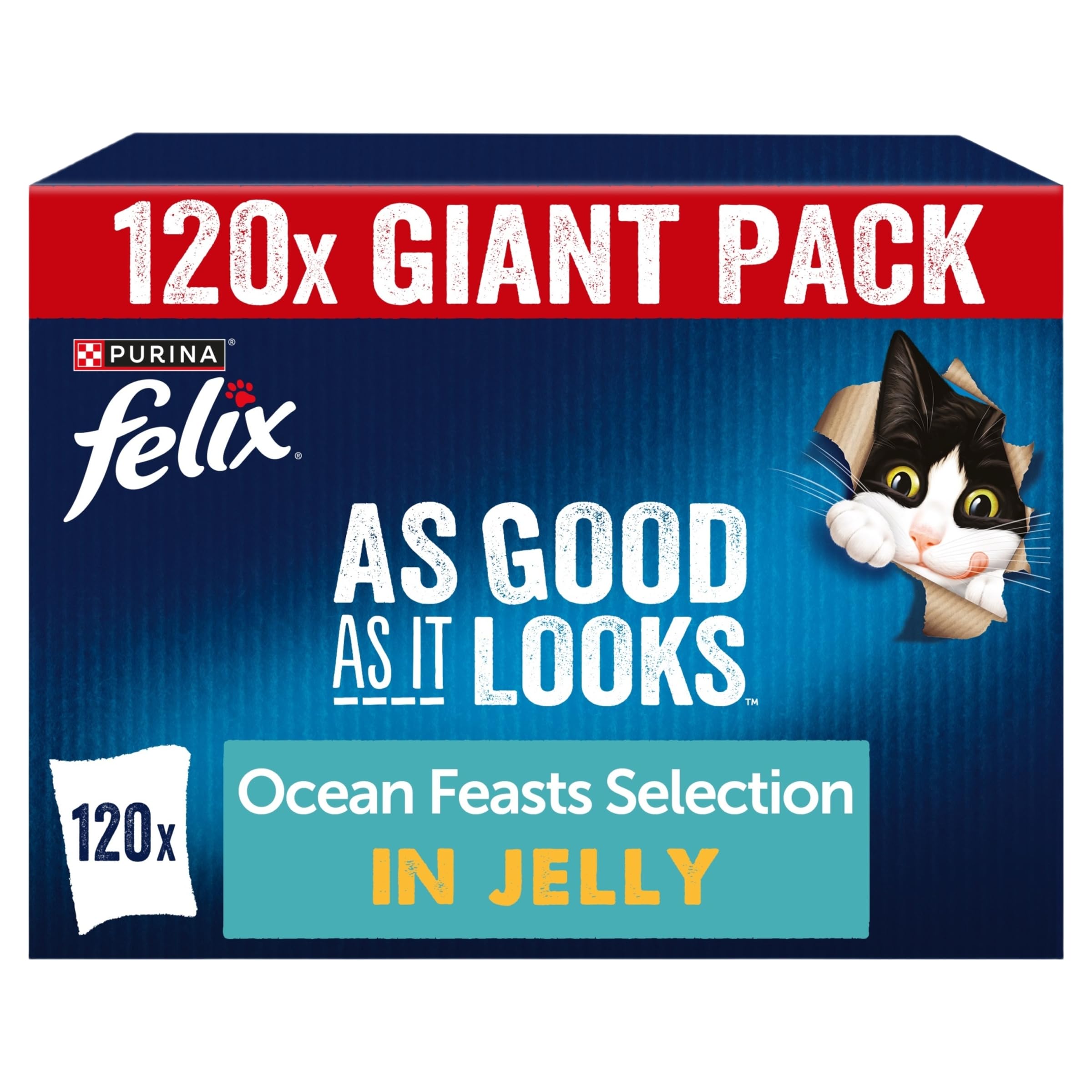 As Good As it Looks Adult Wet Cat Food Ocean Feasts in Jelly Plaice, Salmon, Tuna, Cod 120 x 85g Pouches