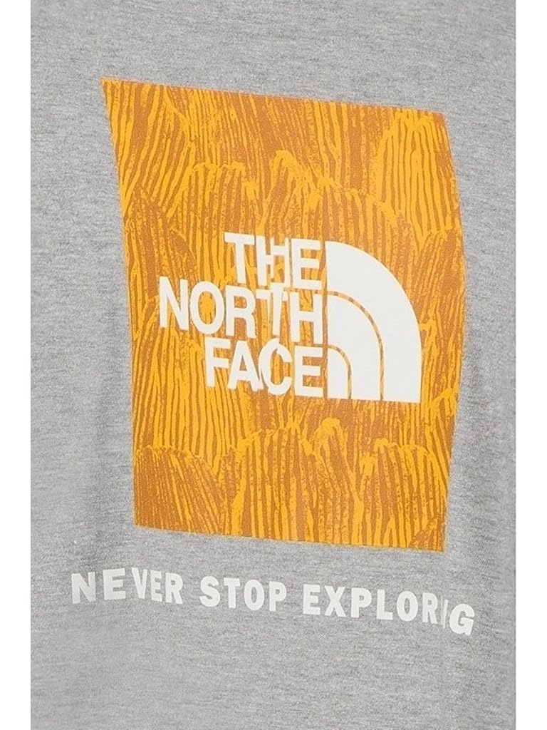 Gray The North Face Evolution Regenerative Ink Box NSE Short Sleeve Tee Graphic