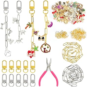 Jongdari 173pcs DIY Keychain Making Kit, Bag Charm Making Kit Bulk Supplies with 60 Key Chain Charms Clips, 10 Metal Clips Clasps, 1 Meter Extender Chain Links, Pliers - Gold & Silvery