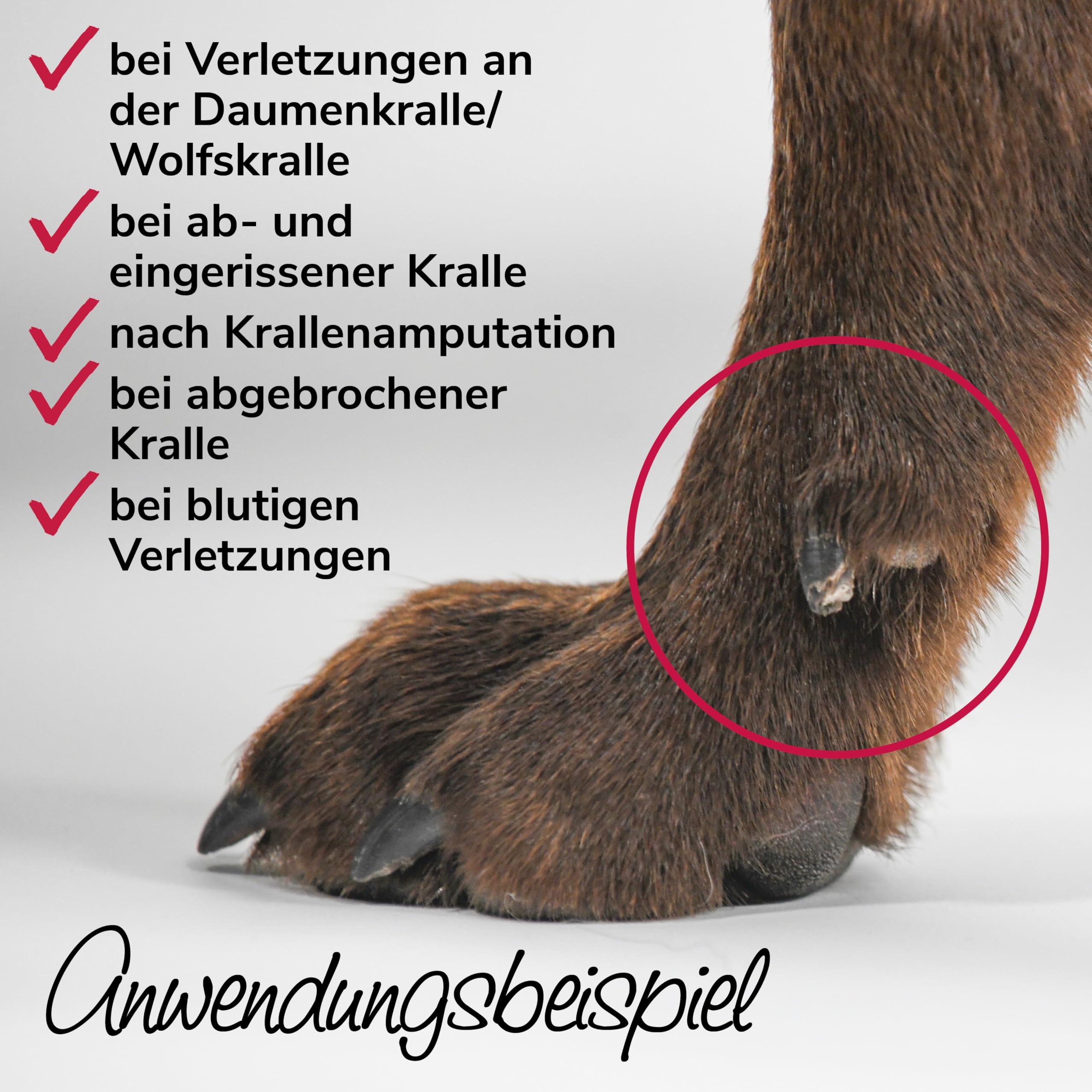 Krallenschutzbandage Gr. M30 für Hunde, Schutz für Wolfs- und Daumenkralle, doppelseitiges Fleece, für Hundesport, Jagd & Agility