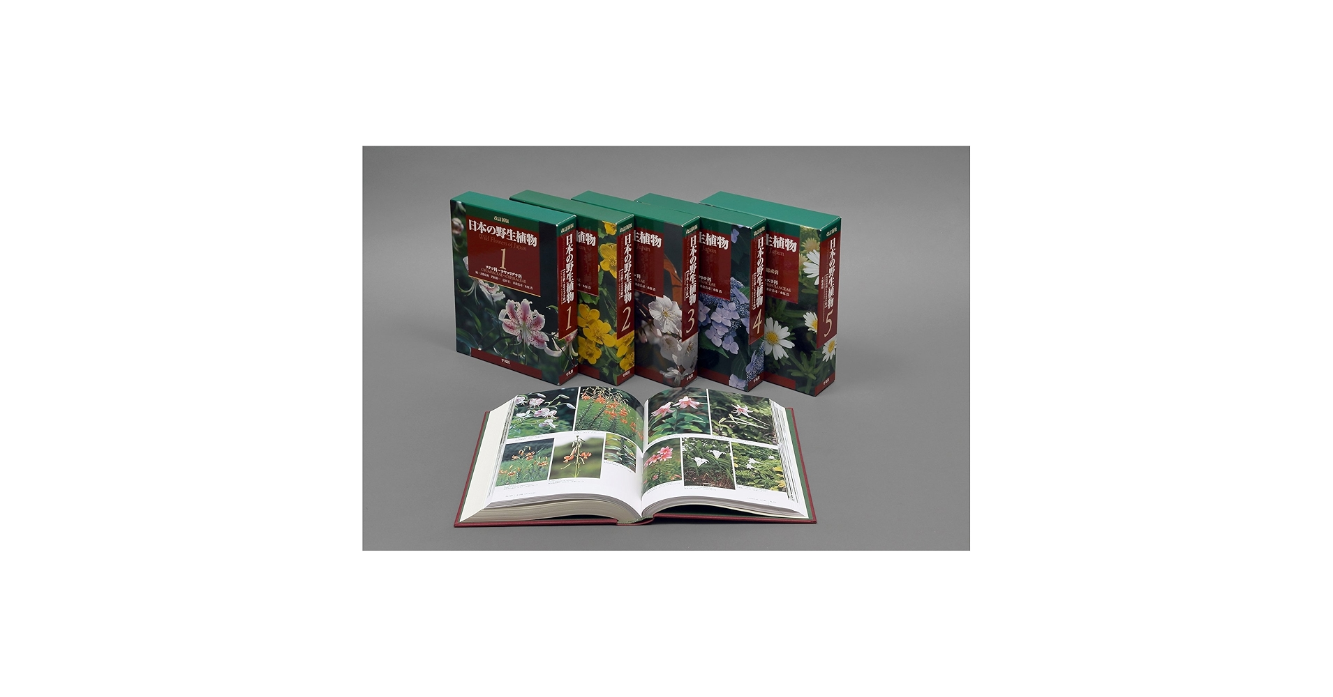 【平凡社】全5巻『改訂新版 日本の野生植物』+総索引 改訂新版 日本の野生植物 5＋総索引 - 平凡社