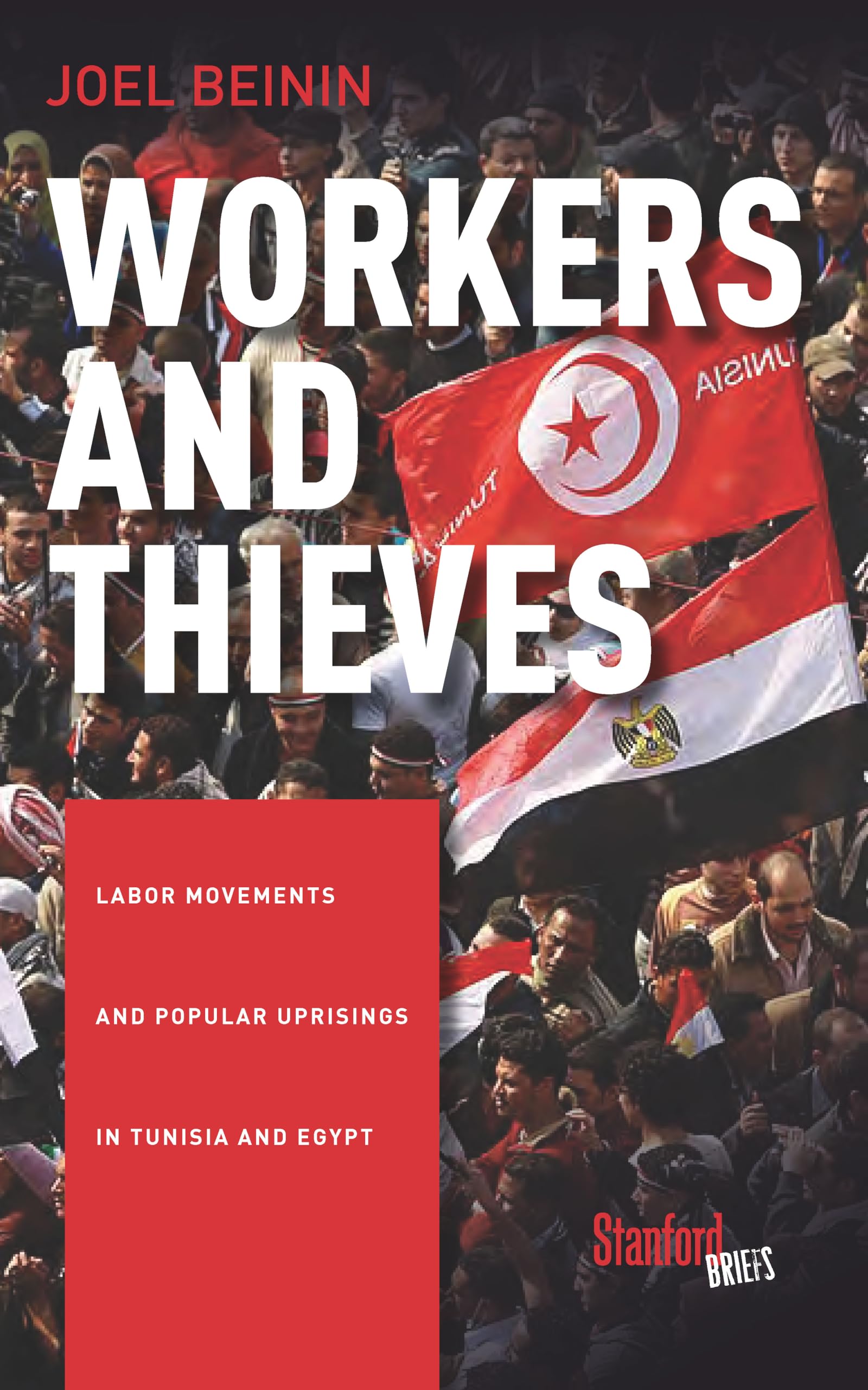 Workers and Thieves by Joel Beinin PAPERBACK 9780804798044