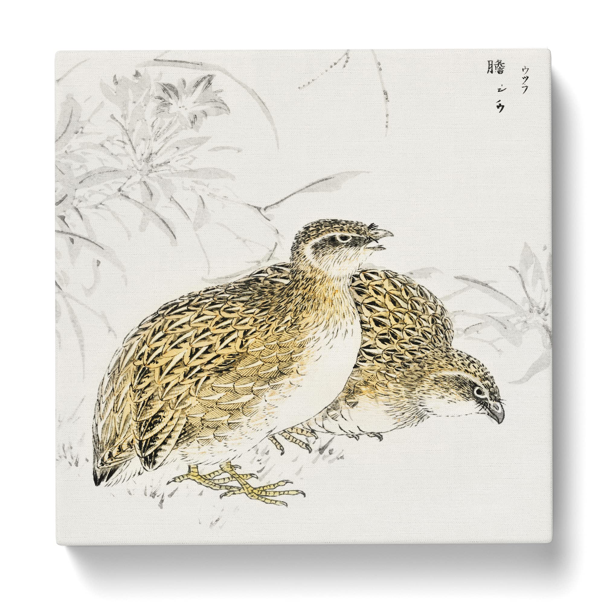 Japanese Quail Birds by Numata Kashu Canvas Print, Mixed, 35L x 35W cm - Image 3