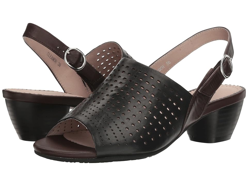 

Spring Step Eleanor (Black) Women's Shoes