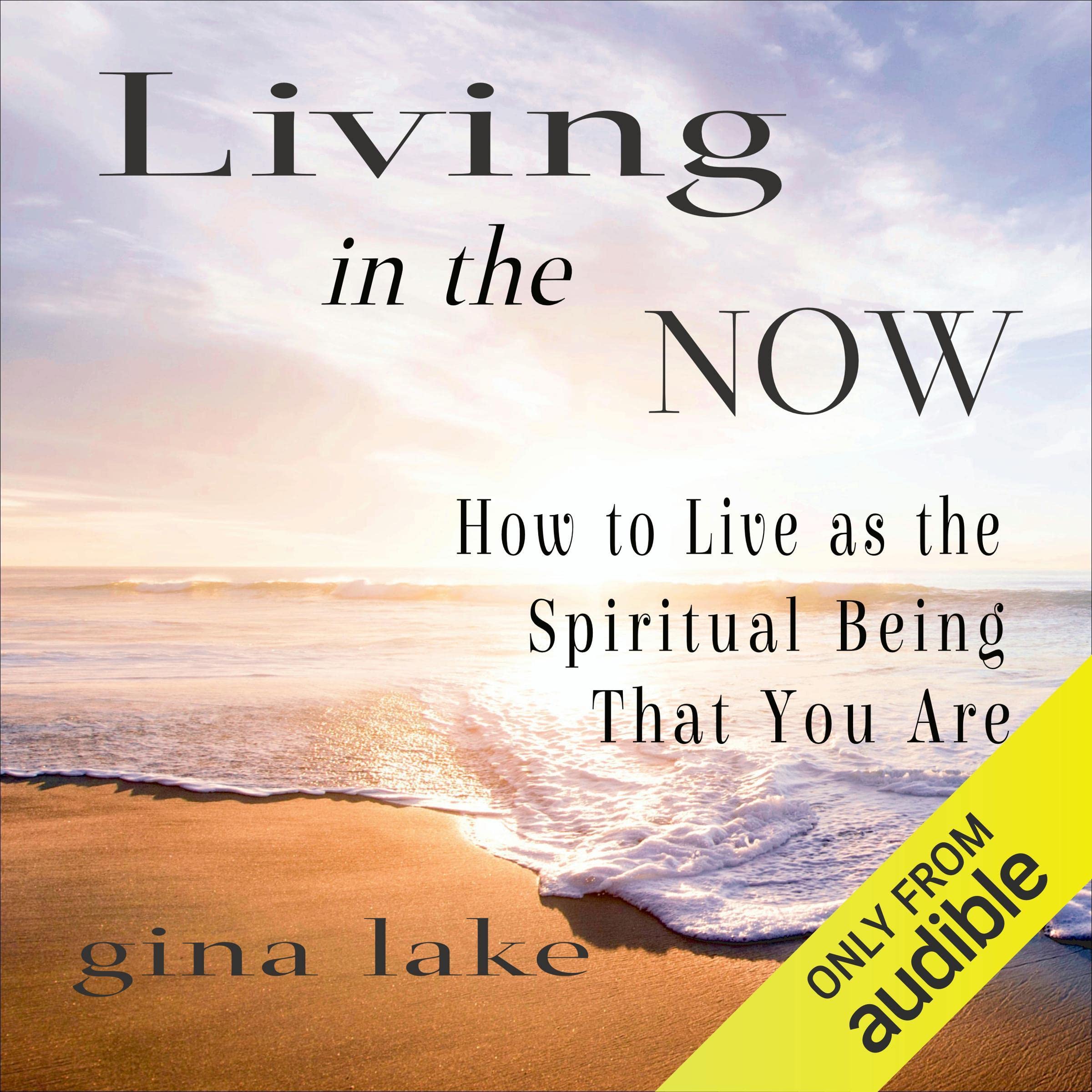 Cover art for Living in the Now
