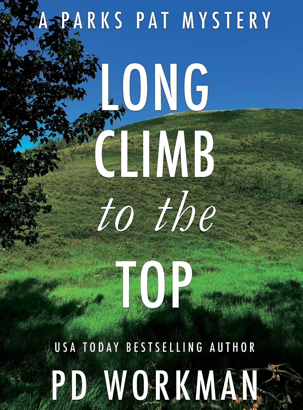 Buy Long Climb to the Top: A quick-read police procedural set in picturesque Canada: 2 (Parks Pat Mysteries) — BookShops.in