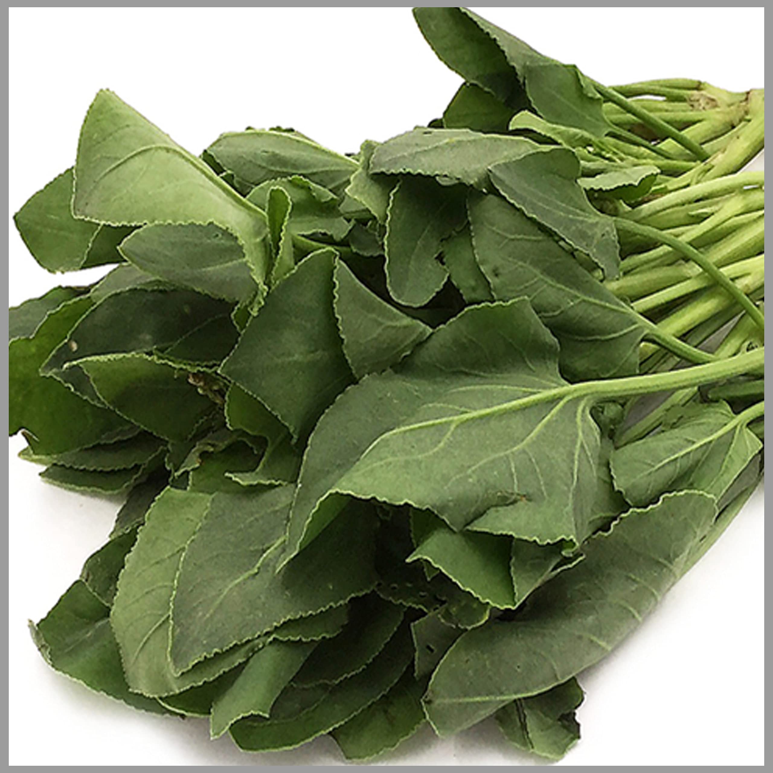 See full amazon price history chart for GardenHunt Sukkan Keerai/Chukka koora Seeds (Pack of 50 Seeds)- GardenHunt GardenHunt Sukkan Keerai/Chukka koora Seeds (Pack of 50 Seeds)- GardenHunt (B0861G2TB8) Amazon Price History, Amazon Price Tracker