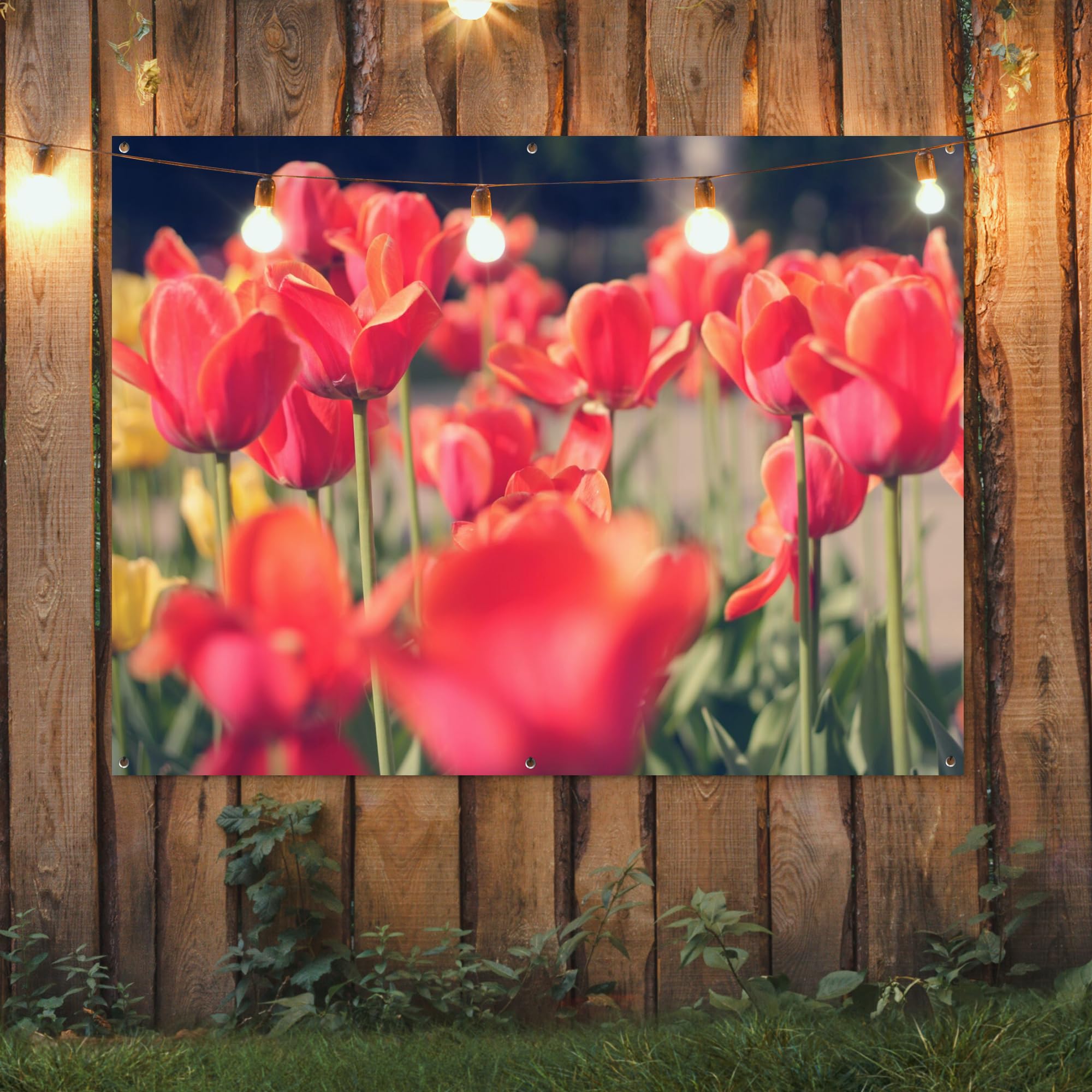 MuchoWow© Decoracion Jardin Exterior Decoración Pared Póster De Jardín | 160x120 cm - Balcón Wall Decoration Patio Posters Decorativos Terraza Tulipanes - Flores - Naturaleza