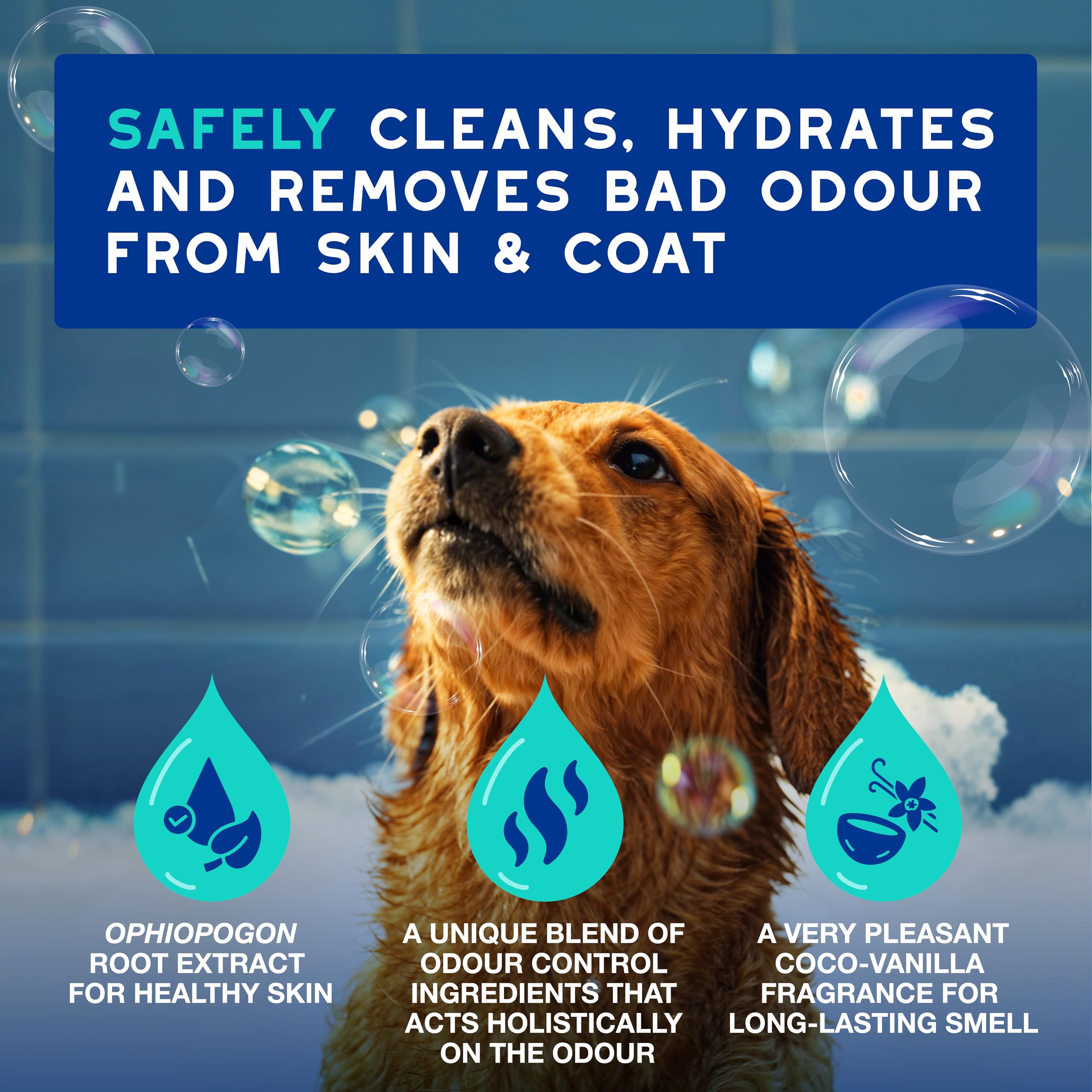 Douxo Spa, Odour Control Dog Shampoo for Smelly Dogs 250 ml, Cleans & Hydrates the Skin, Removes Odour - Image 2