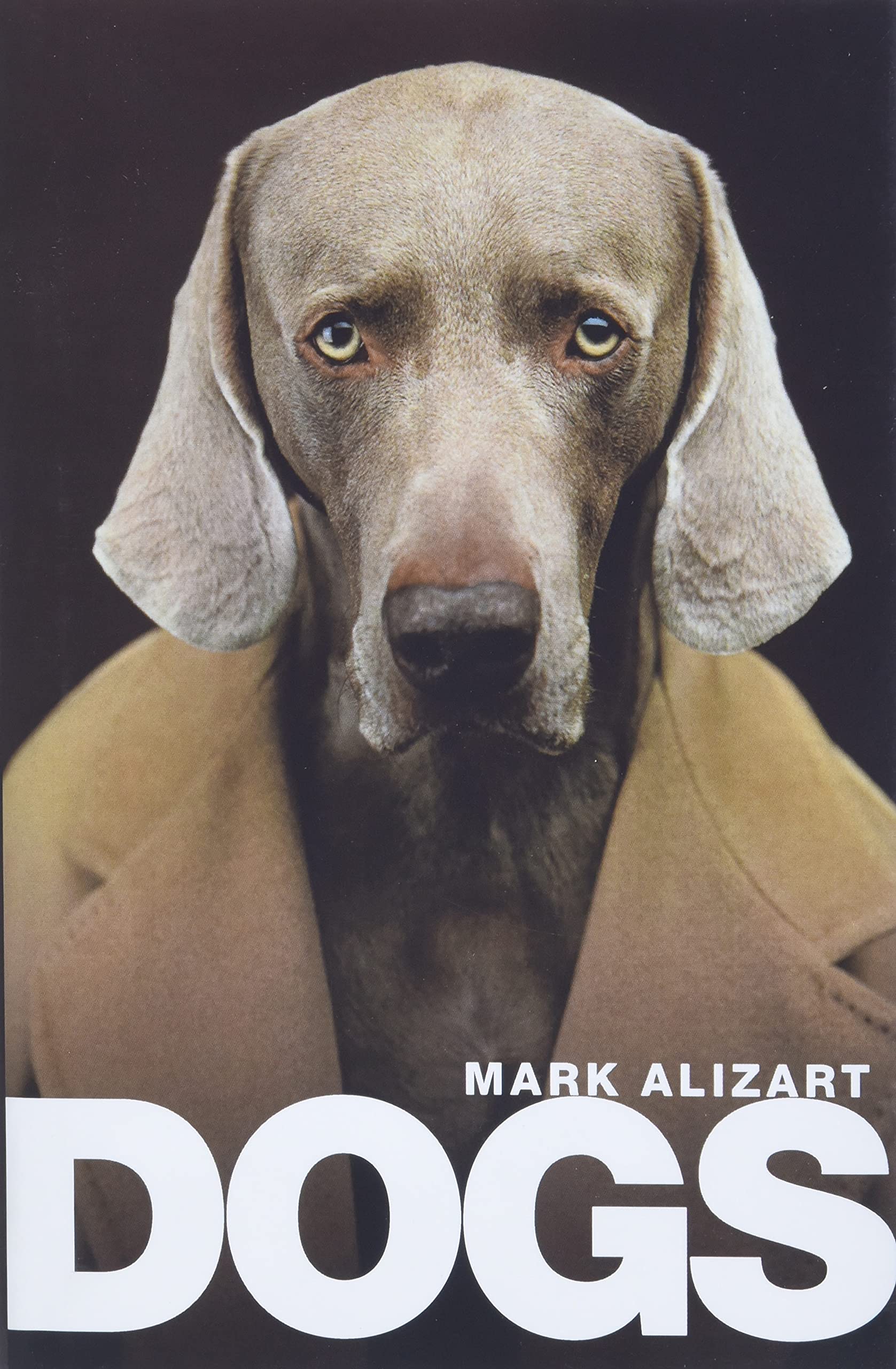 Dogs: A philosophical guide to our best friends Alizart Hardback Polity Press