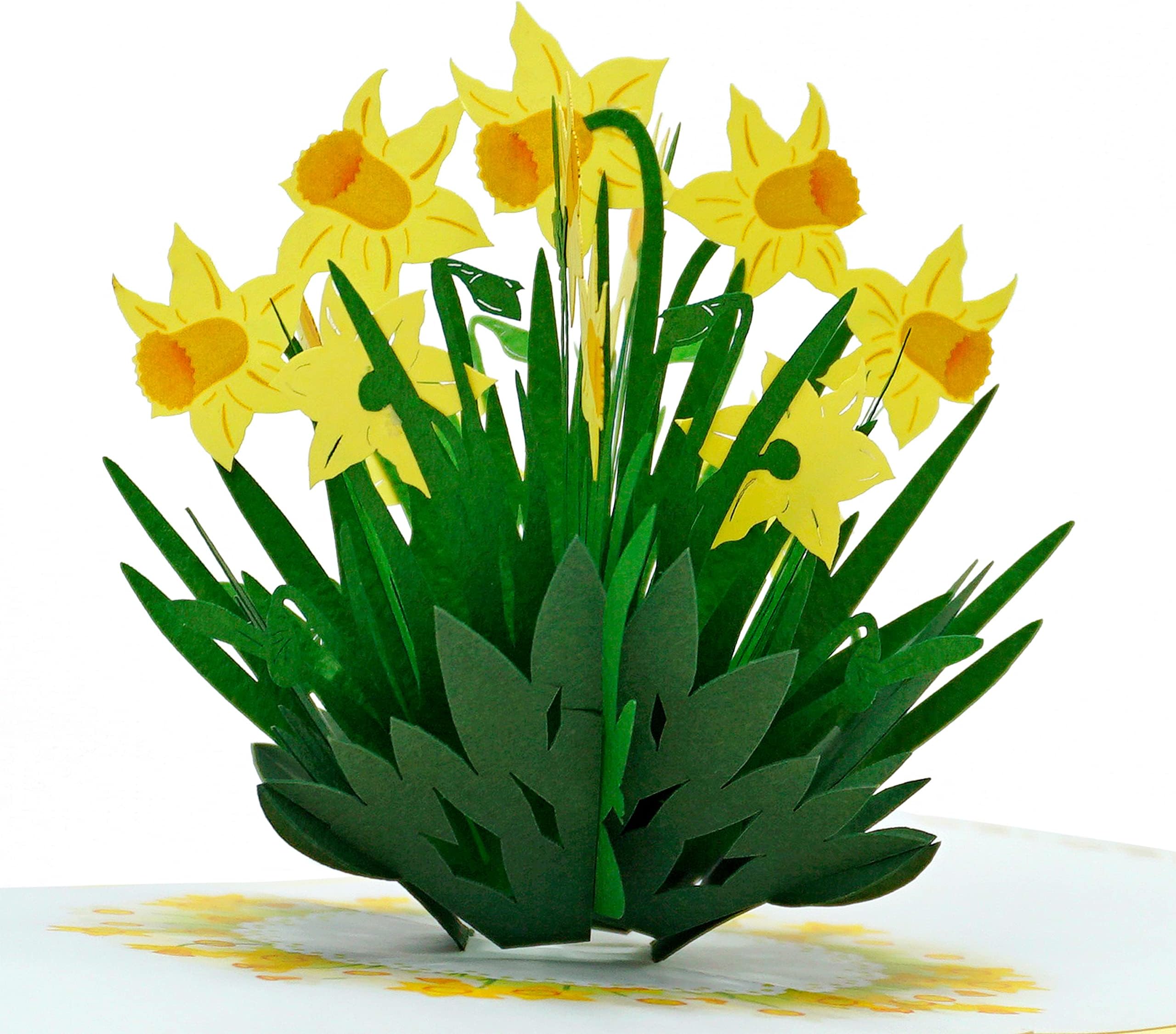 CUTPOPUP Daffodil 3D Cards - Birthday Cards for Women, Mothers Day Cards Pop Up, Flowers 3D Greeting Card, Anniversary Cards, Valentines Card UK