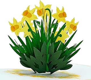 Sponsored Ad - CUTPOPUP Daffodils Pop Up Card, Birthday card for Women, Mothers Day Card Pop Up, Flower Greeting Cards, 3d...