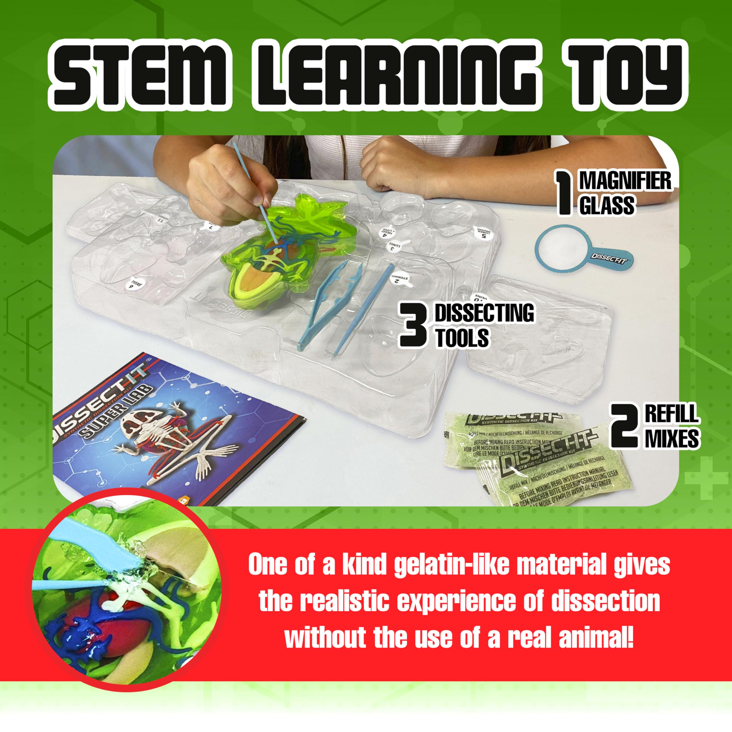 理科セット Amazon.co.jp: Dissect-Itキット 子供用 6 Plus用 模造合成実験室解剖