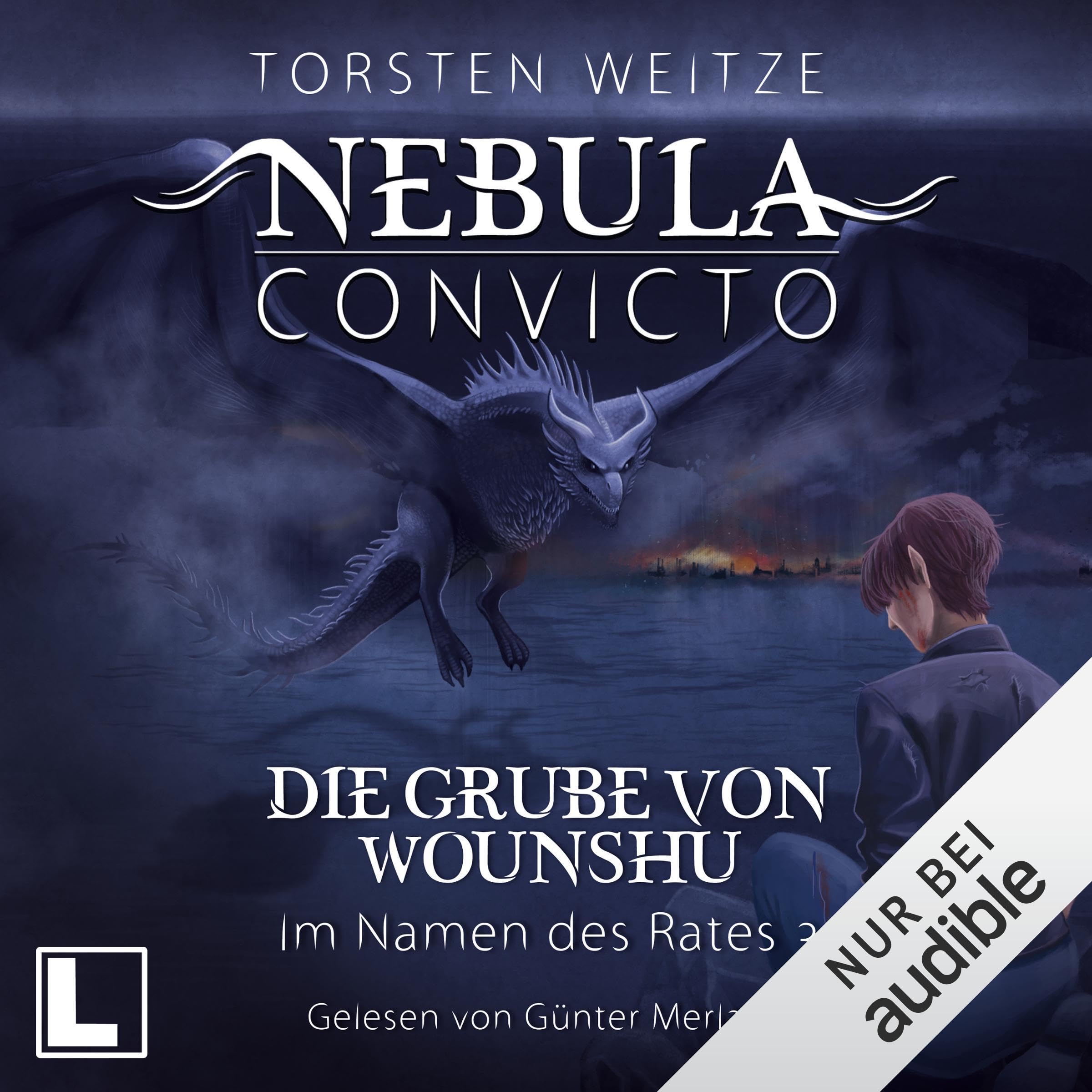 Cover art for Die Grube von Wounshu - Im Namen des Rates 3