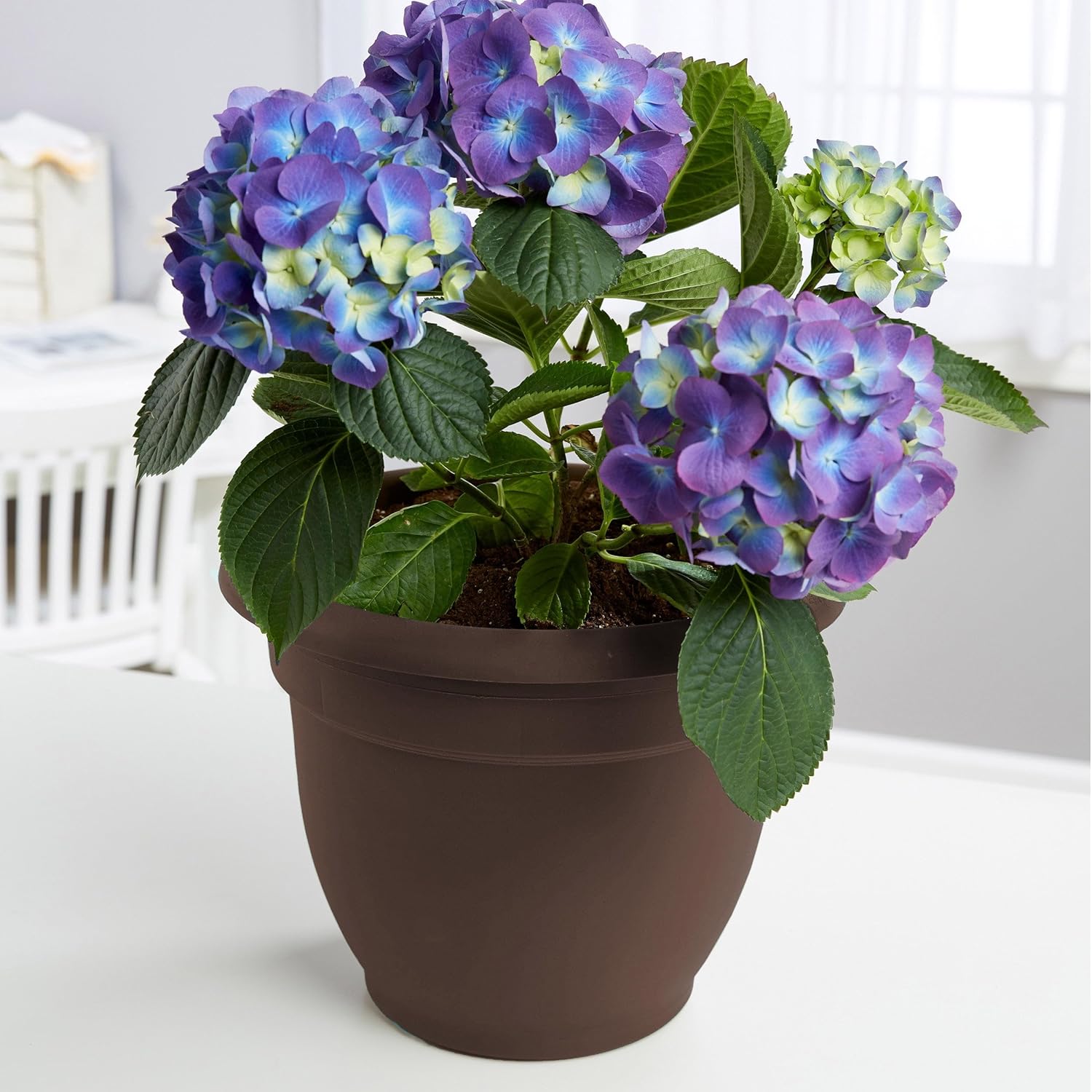 Bloem 10 Inch Ariana Planter with Self-Watering Grid, Chocolate
