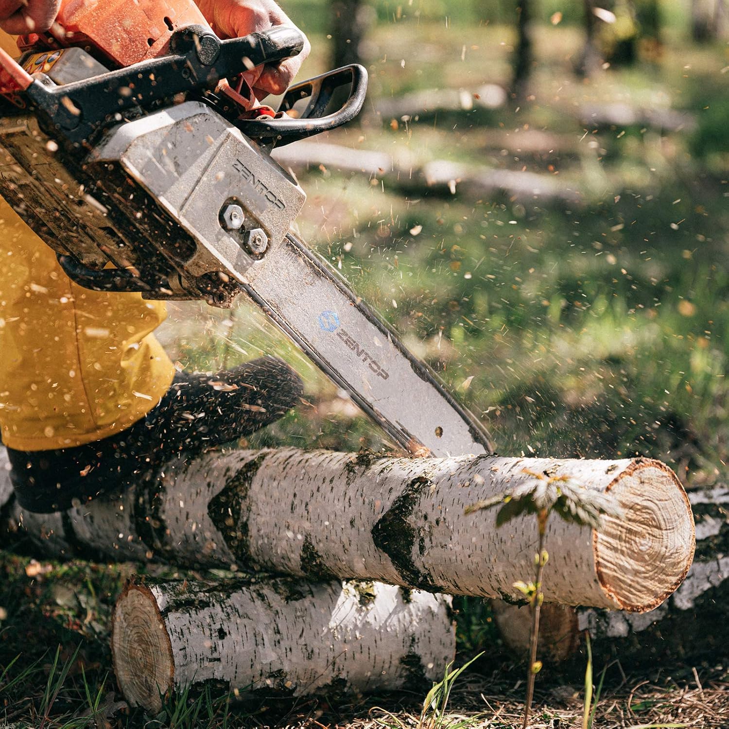 Zentop 18-Inch 3 Pack Chainsaw Chain - 3/8" LP Pitch .050" Gauge 62 Drive Links Wood Cutting Saw Chain for Chainsaw Parts fits Craftsman, Echo, Homelite, Poulan, Remington (18-Inch 62DL) : Patio, Lawn & Garden