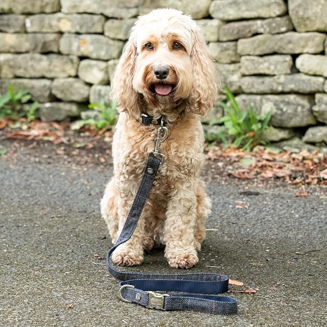 Foto 6 de 7 de HUGO & HUDSON x Hackett Correa para Perros de Tweed con asa Acolchada Suave, diseño de Espiga a Cuadros Grises