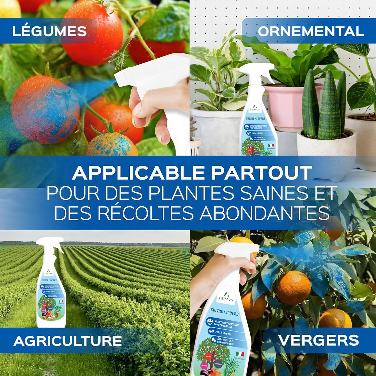 Fongicide Cuivre Et Soufre LERAVA 2x700ml - Traitement Bio Pour Jardin, Rosiers, Vignes, Prévention Oïdium Et Maladies Anti Puceron Rosier Fongicide Cuivre Et Soufre LERAVA 2x700ml - Traitement Bio Pour Jardin, Rosiers, Vignes, Prévention Oïdium Et Maladies Anti Puceron Rosier
