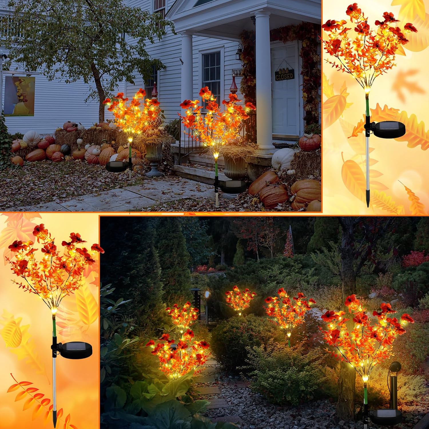 2 Pack Fall Solar Stake Lights Thanksgiving Outdoor Decorations Waterproof Orange Mums Artificial Flowers Solar Lights for Outdoor Garden Yard Pathway Thanksgiving Fall Decor (Violet) - Image 6