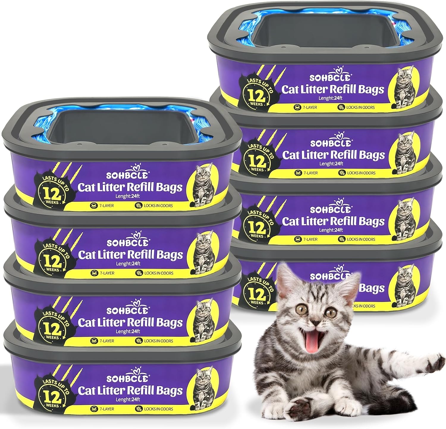 リモージュ ボックスBOXバスケットキャット猫シリーズ③Limoges