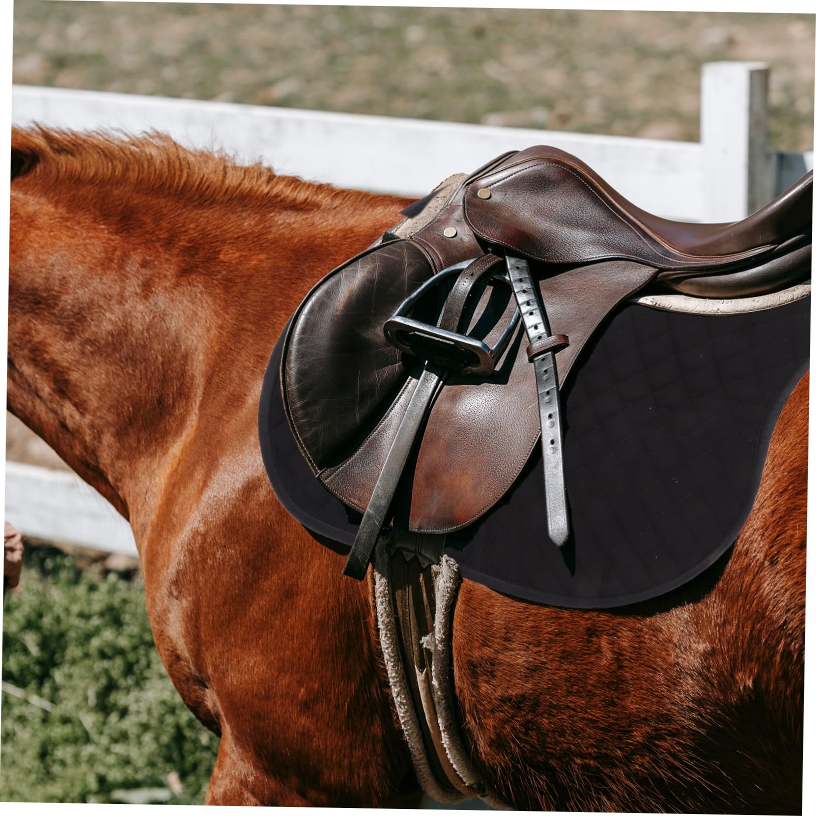 TOYANDONA Almohadilla Antideslizante para Silla de Montar para Caballo, Acolchado Eva y Algodón, Fácil de Instalar, Negro, para Montar