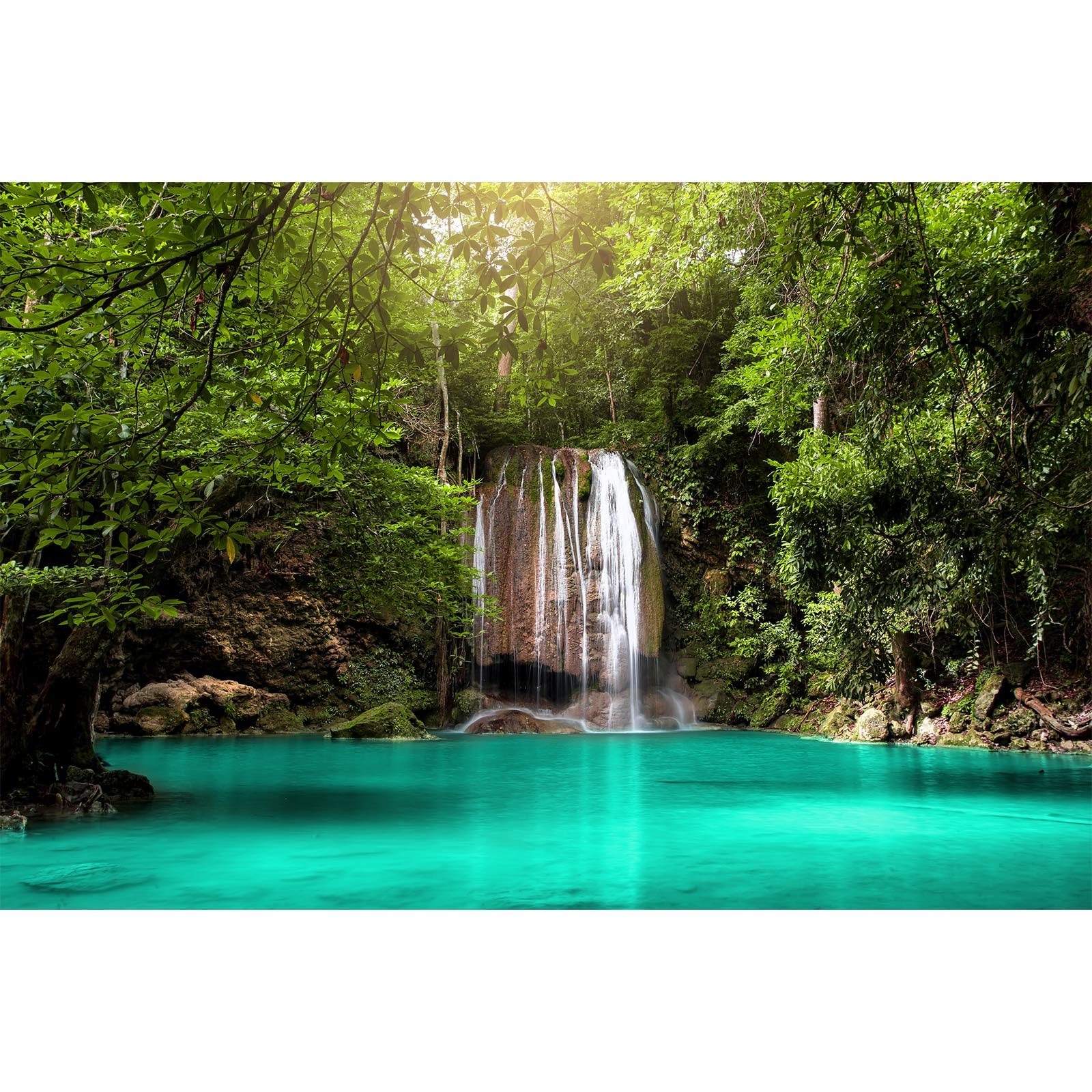 Jungle Waterfall Aquarium Background Lush Green Rainforest Rocks Terrarium Background Falls Green Plants Natural Landscape Fish Tank Background Lake Stream Waterfall Reptile Background 24x12in