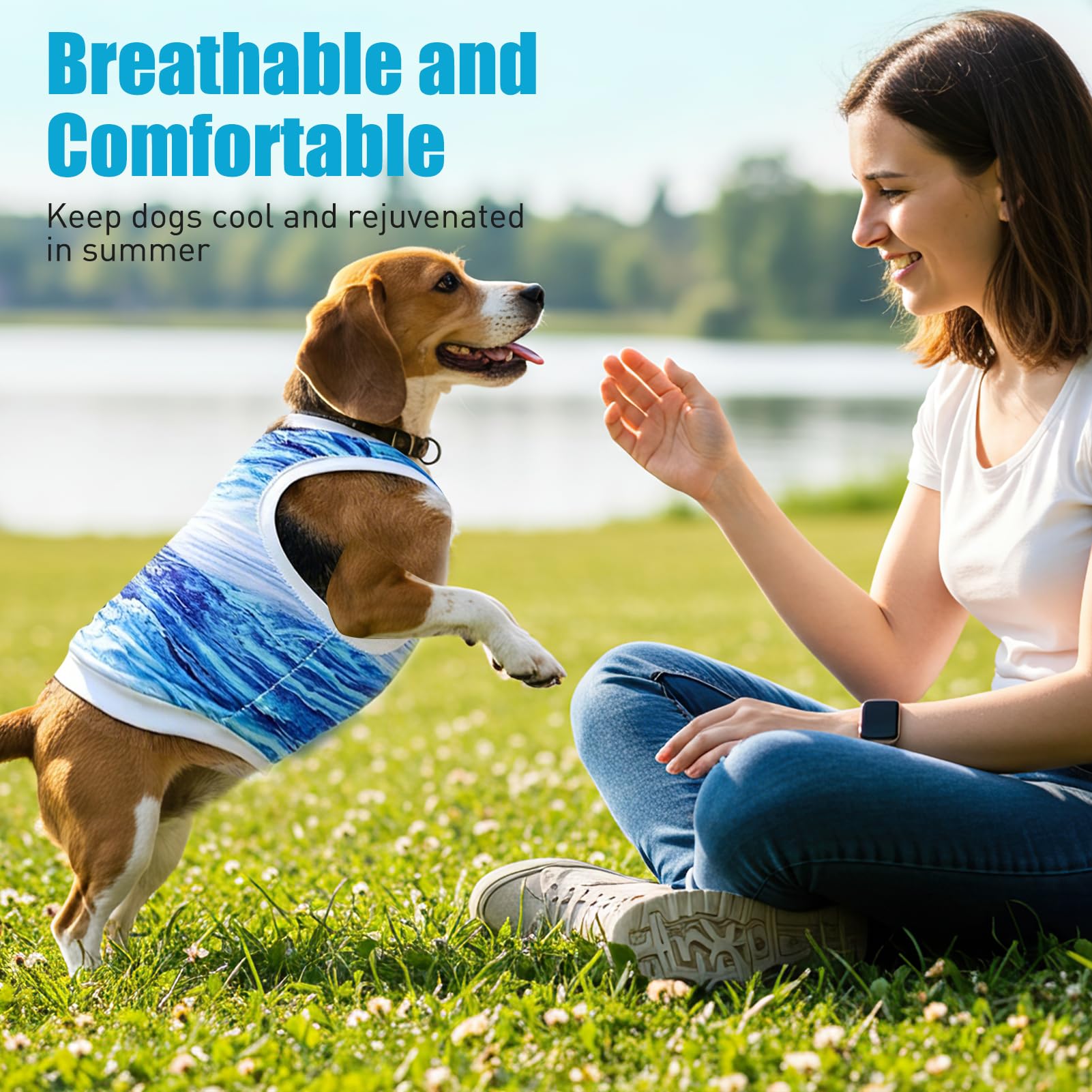 Gilet Rafraîchissant pour Chien, Respirant Manteau Rafraichissant Chien, Doux et Confortable Gilet de Refroidissement pour Chiens de Petite et Moyenne Taille (Bleu-M)