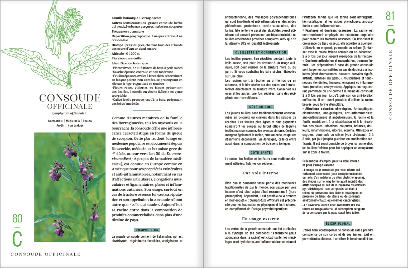 Le guide des plantes sauvages. 100 plantes essentielles aux vertus bienfaisantes - Identification, cueillette, préparation, conservation, propriétés ... plantes essentielles aux vertus bienfaisantes