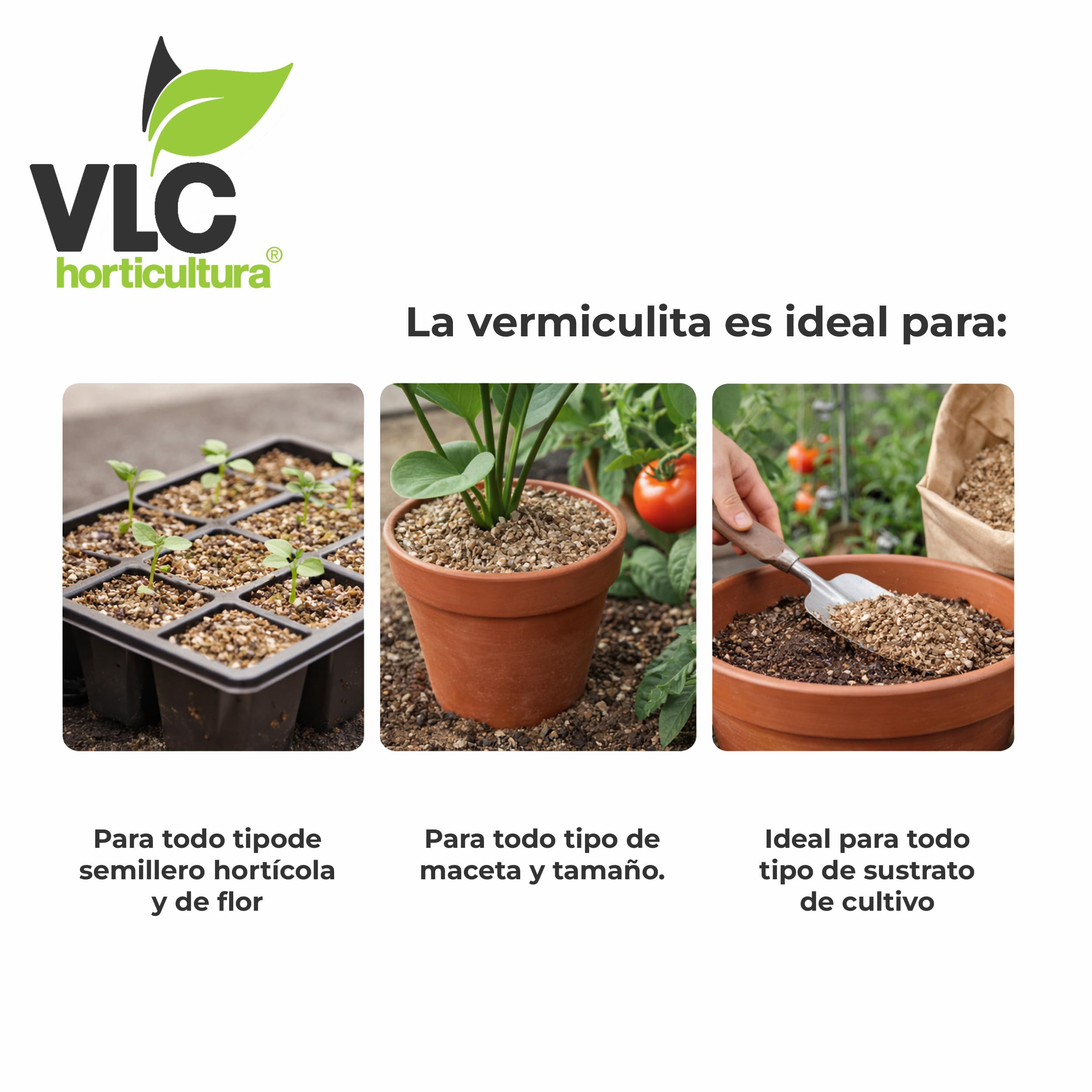 Vermiculita Hortícola 100 litros VLC Horticultura | Sustrato Mineral Natural | Retención de Agua y Aireación | Semilleros, Macetas, Jardín y Huerto