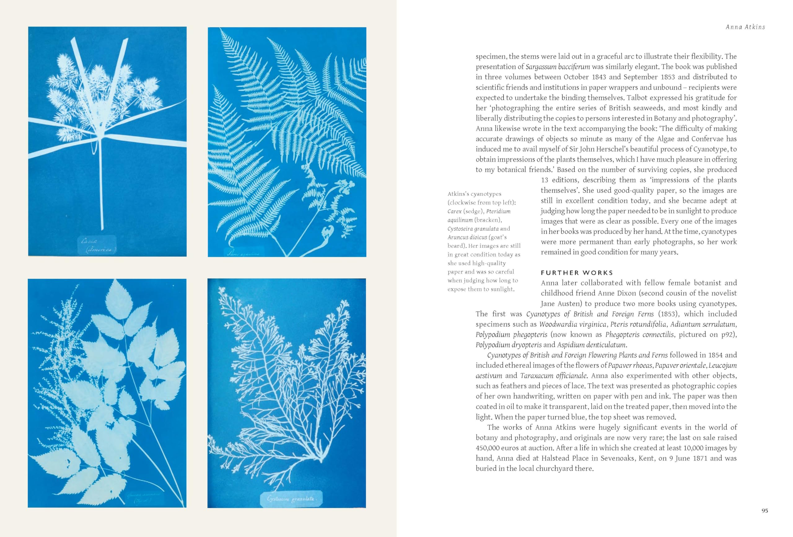 The Secrets of Great Botanists: What They Teach Us about Gardening