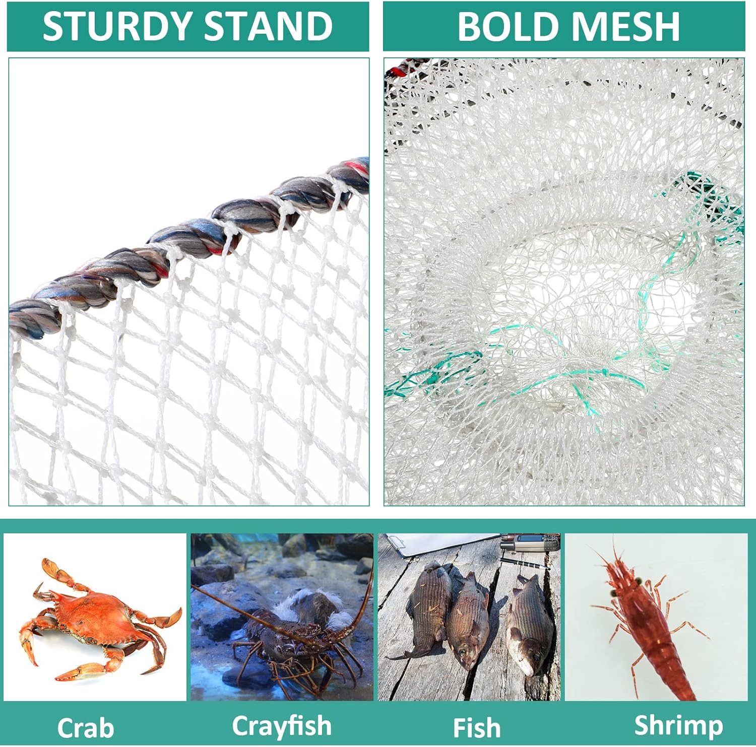 Zopeal 4 Pack Fishing Bait Trap Crab Trap Minnow Trap Crawfish Trap Lobster Trap Crayfish Shrimp Trap Net Portable Collapsible Fishing Traps with 49 Ft Rope Folded Fishing Accessories, 12 x 24 Inch