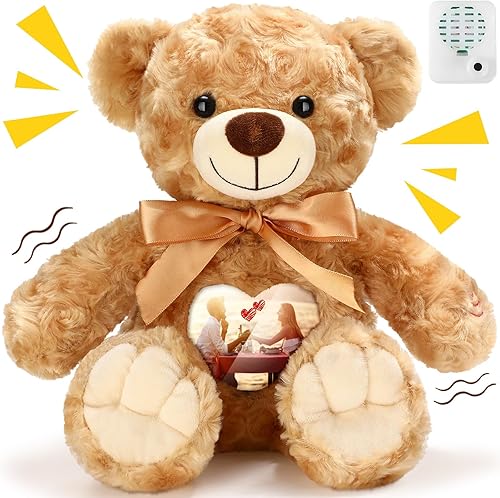 Silipull Recuerdo oso de peluche de terciopelo rosa de 12 pulgadas con grabador de voz marrón, animal de peluche con marco de fotos, regalo