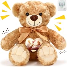 Silipull Remembrance Bear 12 Inch Rose Velvet Stuffed Animal with Recorder Brown Voice Recording Stuffed Animal with Picture Frame Recordable Gifts Fabric Toy