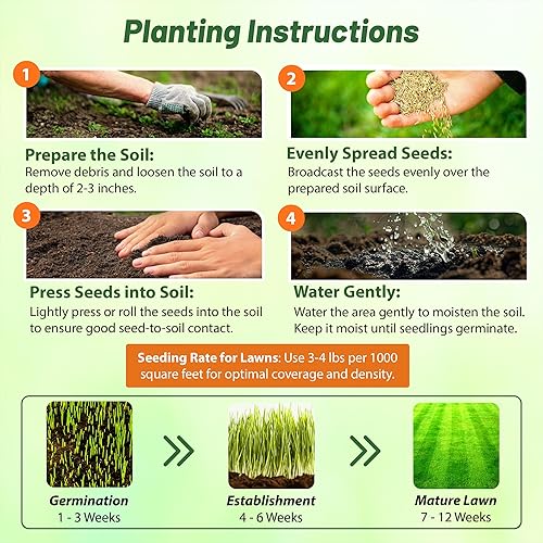 Miniatura 4 de Outsidepride Semilla de hierba Xeriscape - 1 libra