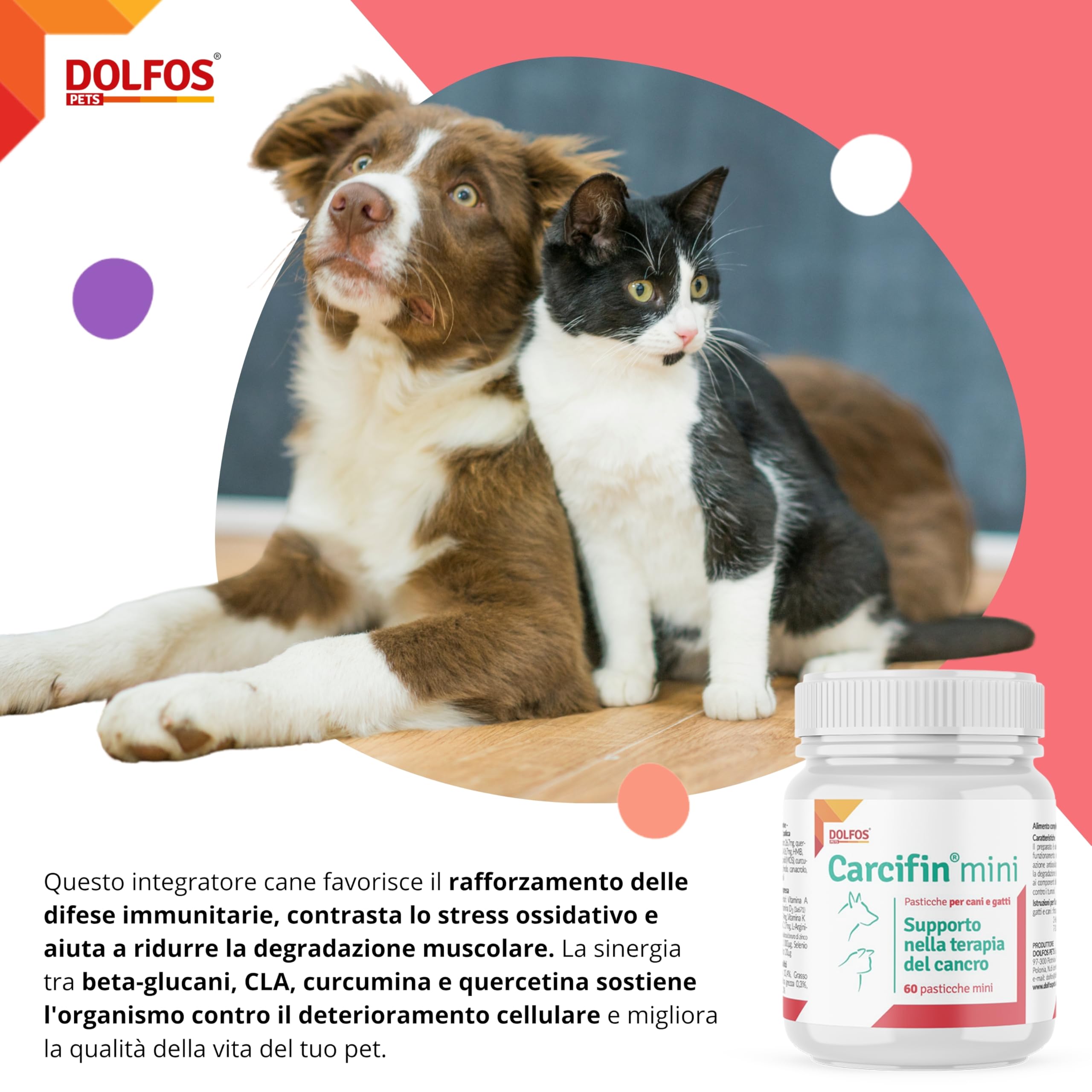 Dolfos Carcifin 60 Mini Compresse, Integratori per Cani Supporto Oncologico con Curcumina e Quercetina, Integratori per Cani Terapia Antitumorale e Sistema Immunitario
