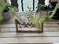 Review Image by Ruby Lewis